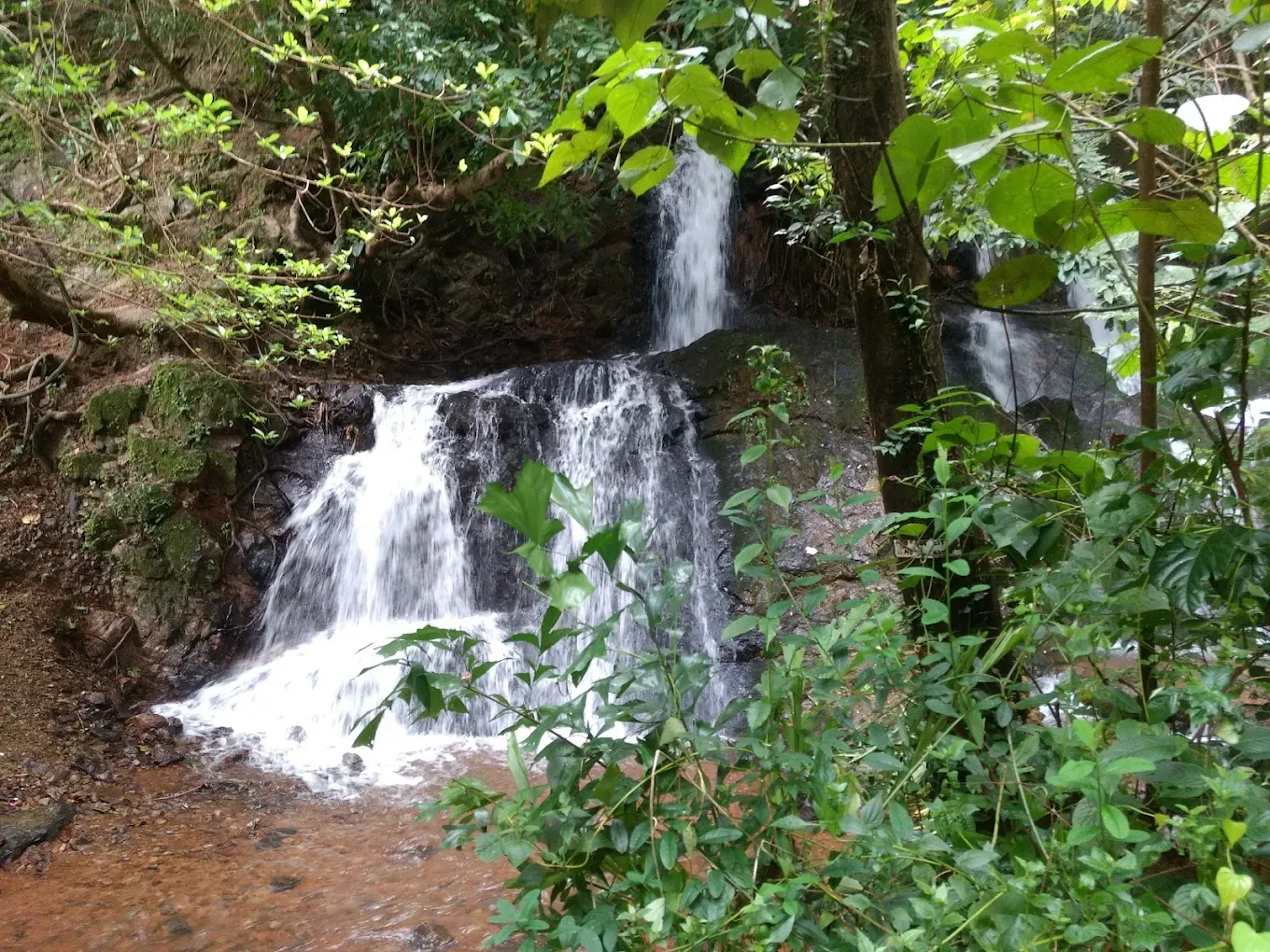 Adyar Falls & Trekking